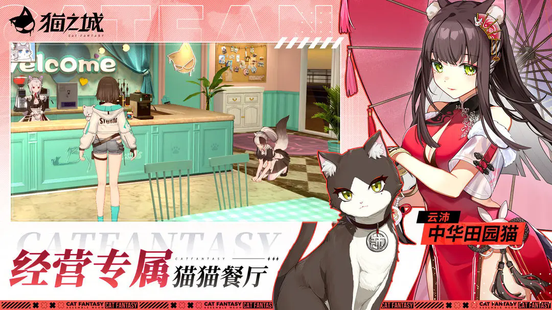 猫之城台服截图3