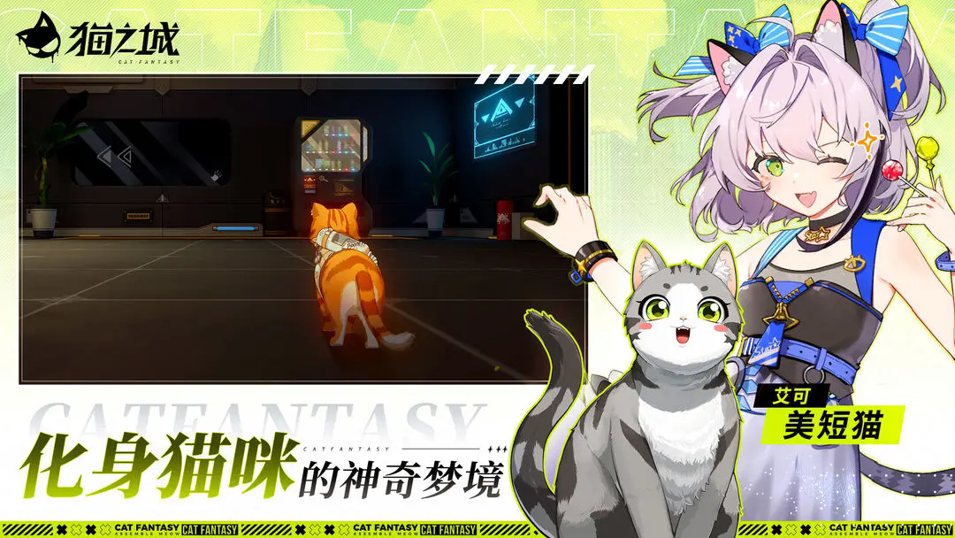 猫之城台服截图2