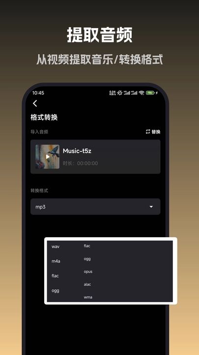 音旅截图3