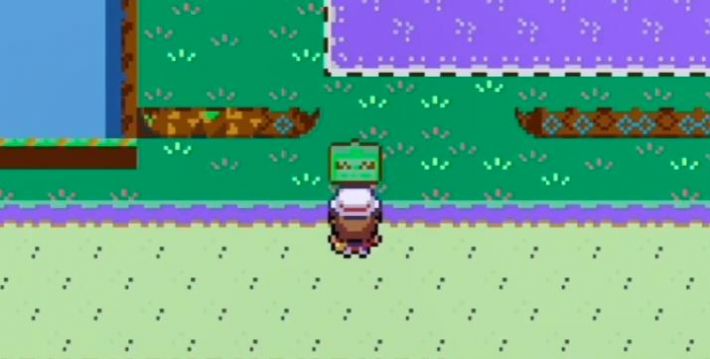 口袋妖怪大道无限截图1