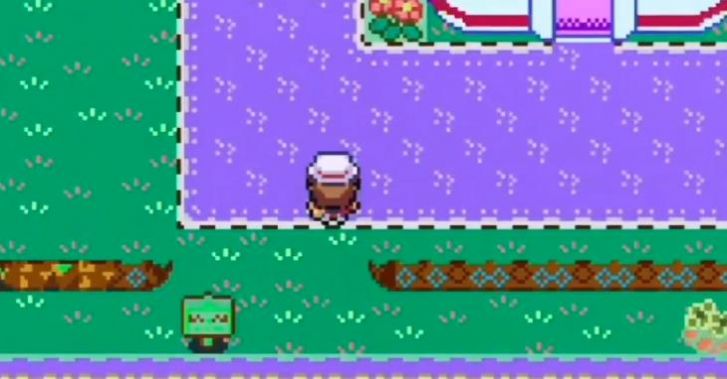 口袋妖怪大道无限截图2