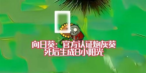 植物大战僵尸风韵版截图3