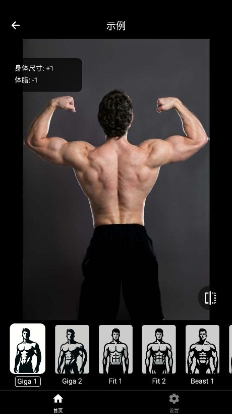 gigabody安卓版安装包截图1