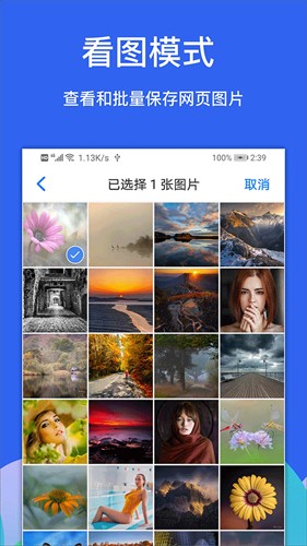 alook浏览器手机版截图4