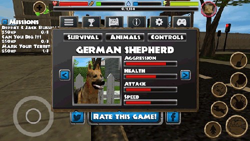 流浪狗模拟器什么狗最好推荐5