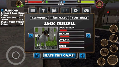 流浪狗模拟器什么狗最好推荐8