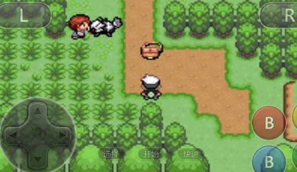 究极绿宝石第九世代