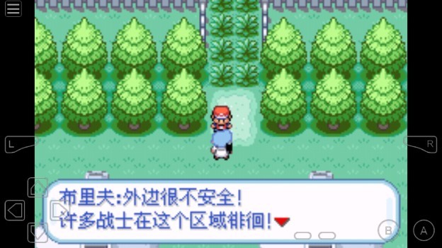 口袋妖怪龙珠Z-Team Training汉化版