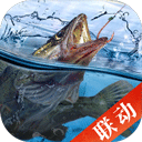天天钓鱼最新版