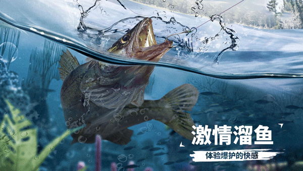 天天钓鱼最新版