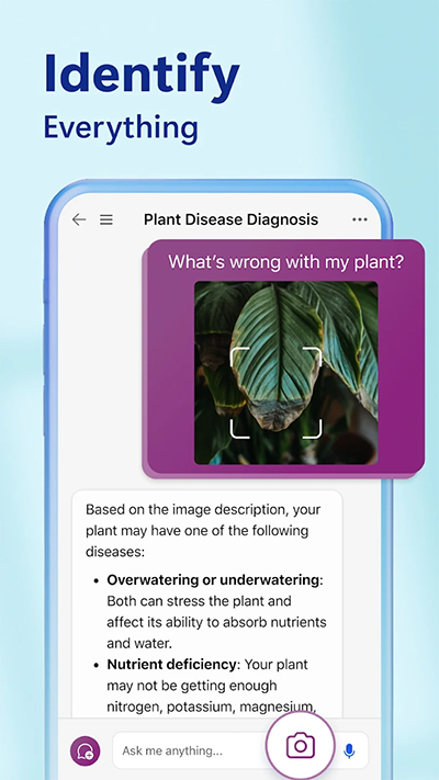 bing浏览器国际版截图5