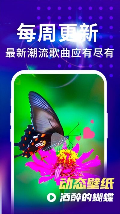 来电视频铃声截图1