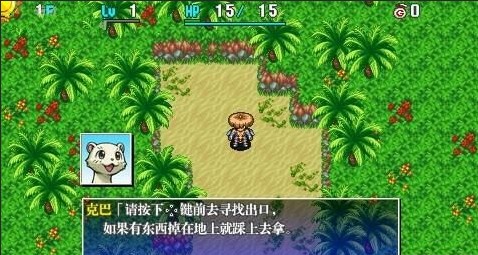 风来的西林4加强版汉化版截图2