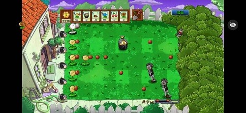 植物大战僵尸ikun大战小黑子截图4