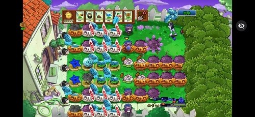 植物大战僵尸ikun大战小黑子截图2