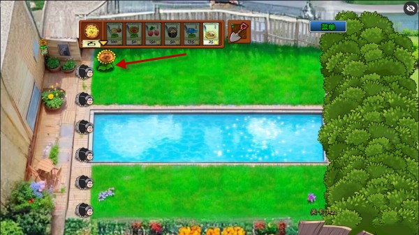 植物大战僵尸ikun版