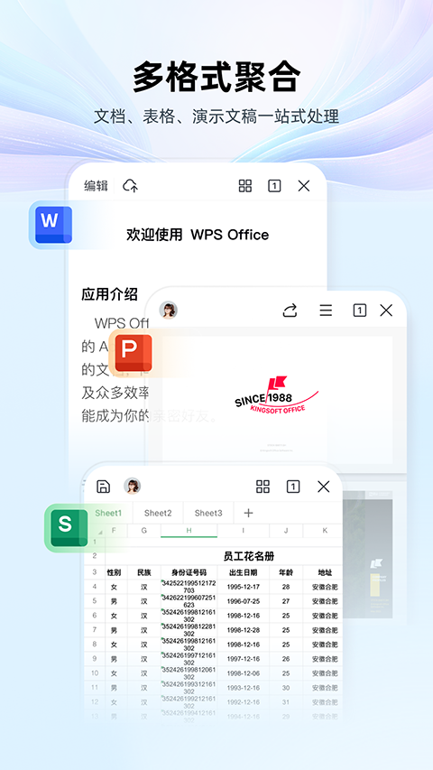 WPS专业版截图2