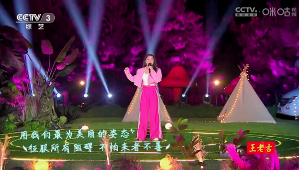 神鸟电视tv版安装包截图1