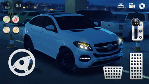 真实泊车2最新版截图1