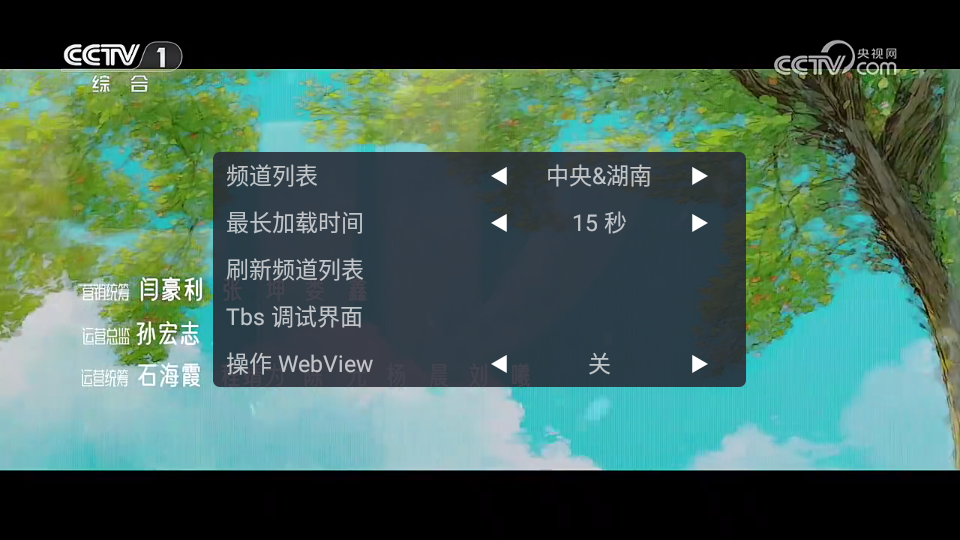 WebView电视截图2