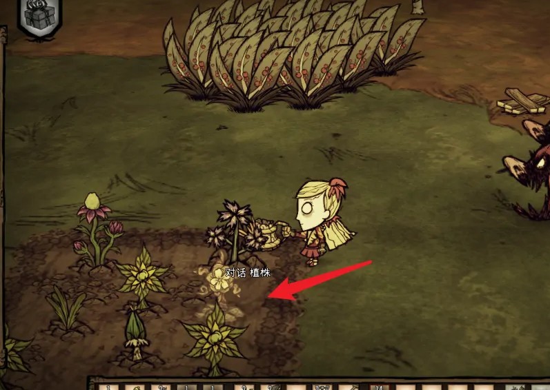 饥荒联机版如何种地