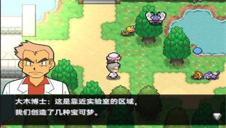 口袋妖怪黑白2汉化版截图4