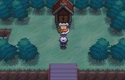 口袋妖怪黑白神兽捕捉图文攻略