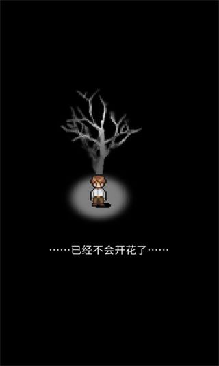 潮声小镇最新版截图1