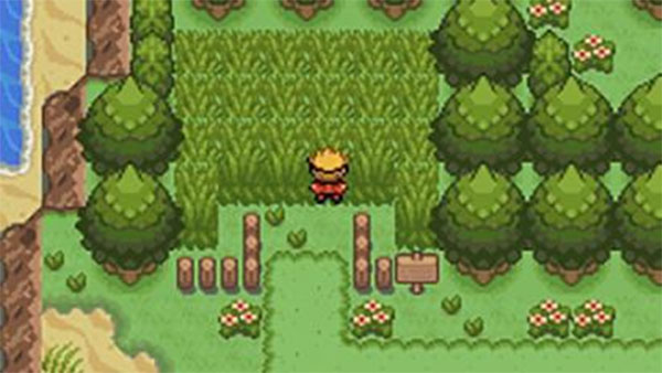 口袋妖怪釉色汉化版截图5