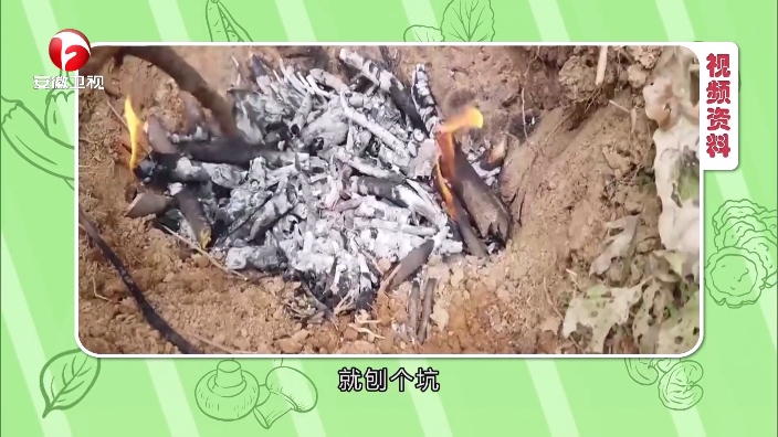 小飞电视app截图2