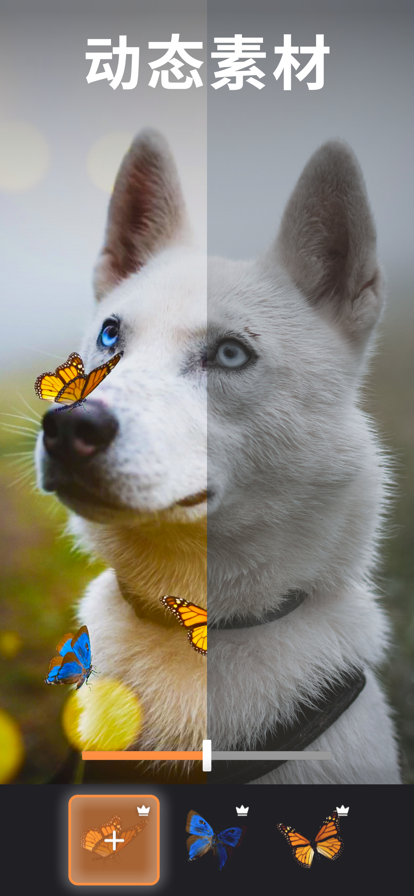 motionleap软件截图1