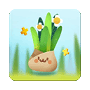 口袋植物安卓版