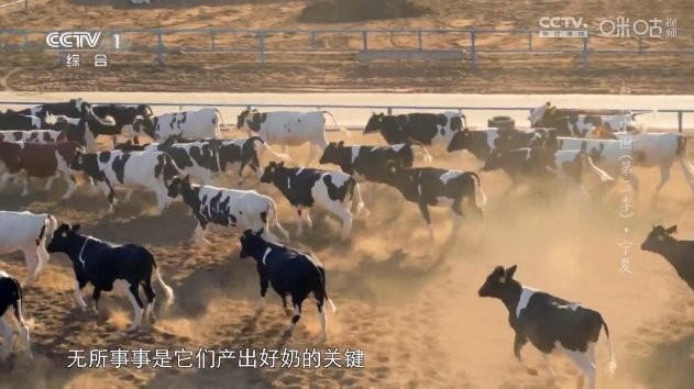 超秒直播电视TV