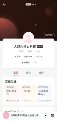 大蛇丸音乐app无广告免费版下载-大蛇丸音乐自制版下载安卓手机版v1.0