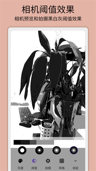 灰阈相机app手机版截图1