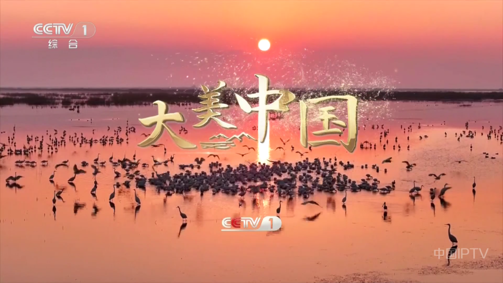 晨瑞电视TV版apk安装包