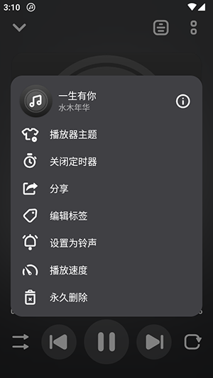 Music Player中文版截图1