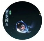 问剑长生灵兽怎么培养和选择