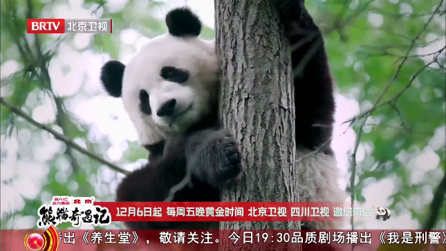 悠兔电视2025最新版tv版截图2