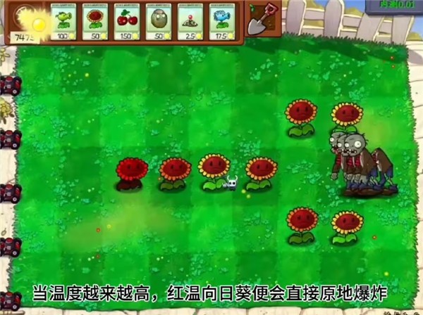 pvz内鬼版截图2