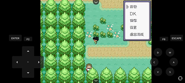 口袋妖怪燃之智3.4汉化版最新版截图2