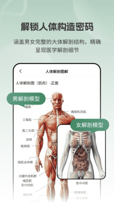 解剖模型Body截图2