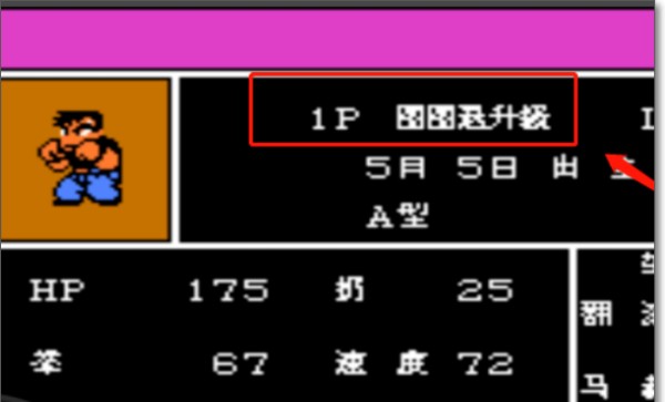热血格斗传说双虎版