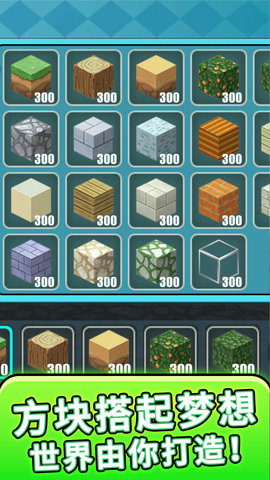 方块奇幻乐园截图3