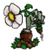 pvz苏戏版