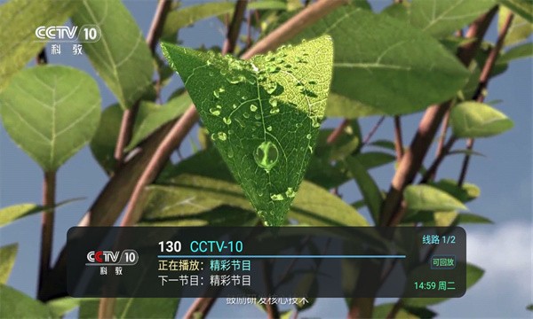 全球TV电视盒子