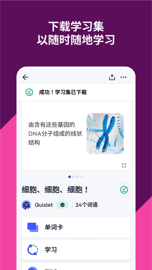 Quizlet截图3
