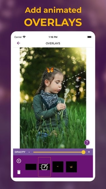 zoetropic专业版截图1