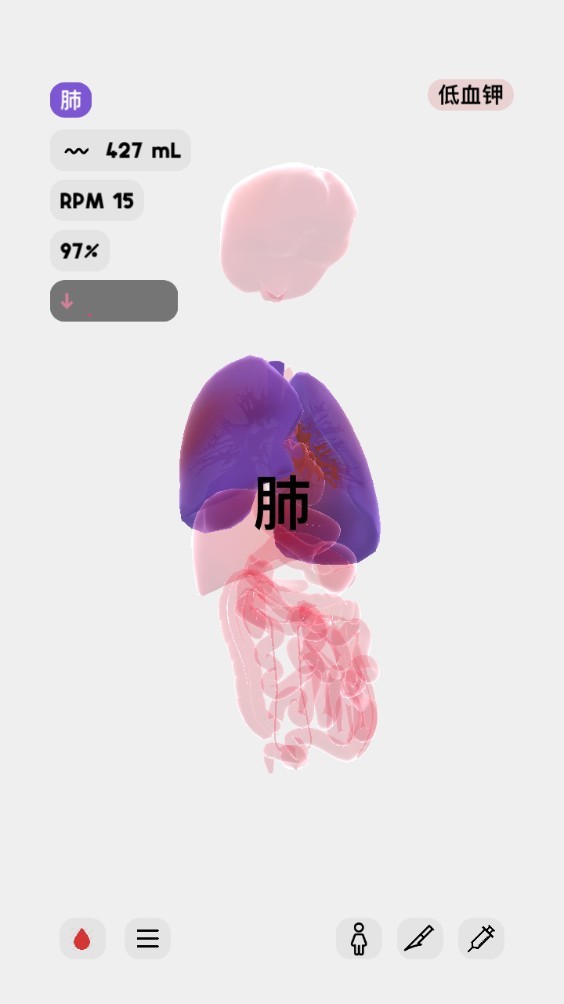 生命life