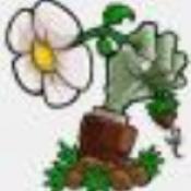 植物大战僵尸启命版手机版